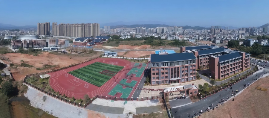 2-临武县第十完全小学项目.jpg